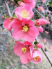 W9296-be29d42c64351f9a01210e4f66d8a30d_1